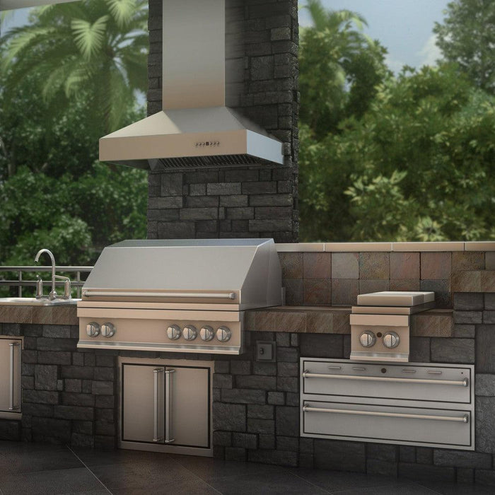 ZLINE Ducted Wall Mount Range Hood in Outdoor Approved Stainless Steel (697-304)