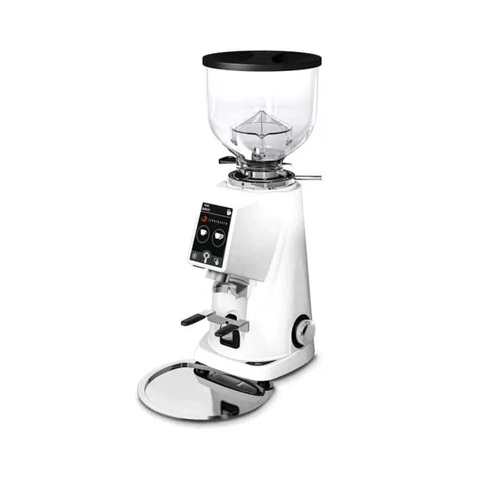 Fiorenzato F4 EVO On Demand Commercial Coffee Grinder