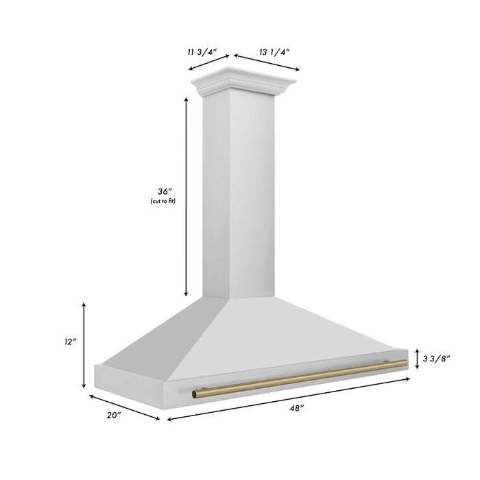 ZLINE Autograph Edition 48 in. Convertible Stainless Steel Range Hood with Stainless Steel Shell and Accents (KB4STZ-48)