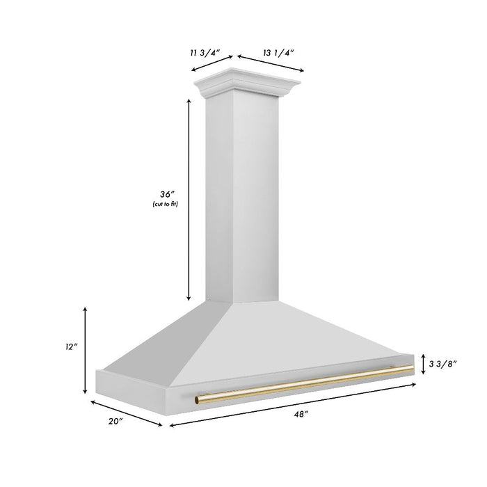 ZLINE Autograph Edition 48 in. Convertible Stainless Steel Range Hood with Stainless Steel Shell and Accents (KB4STZ-48)