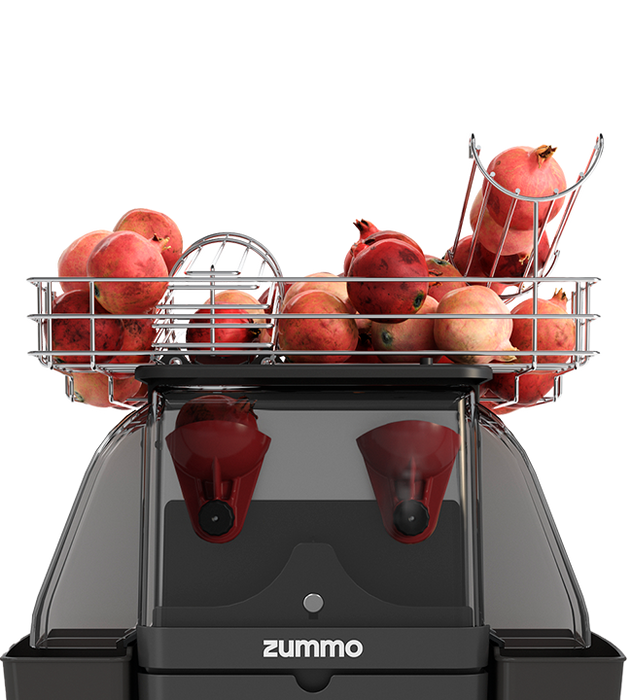 Zummo Z06-N Nature Commercial Juicer - 10 Fruits / Minute