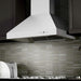 ZLINE Outdoor Wall Mount Range Hood in Outdoor Approved Stainless Steel (667-304)