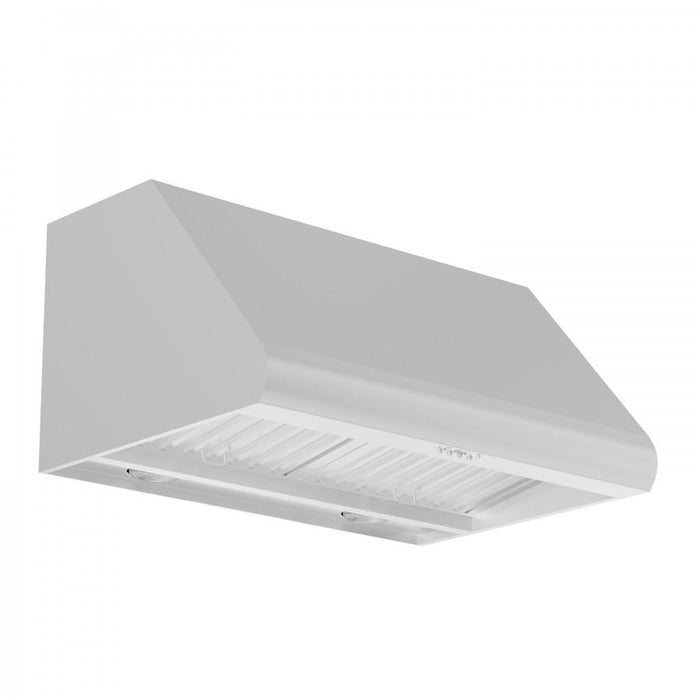 ZLINE Convertible Vent Under Cabinet Range Hood in Stainless Steel (527)