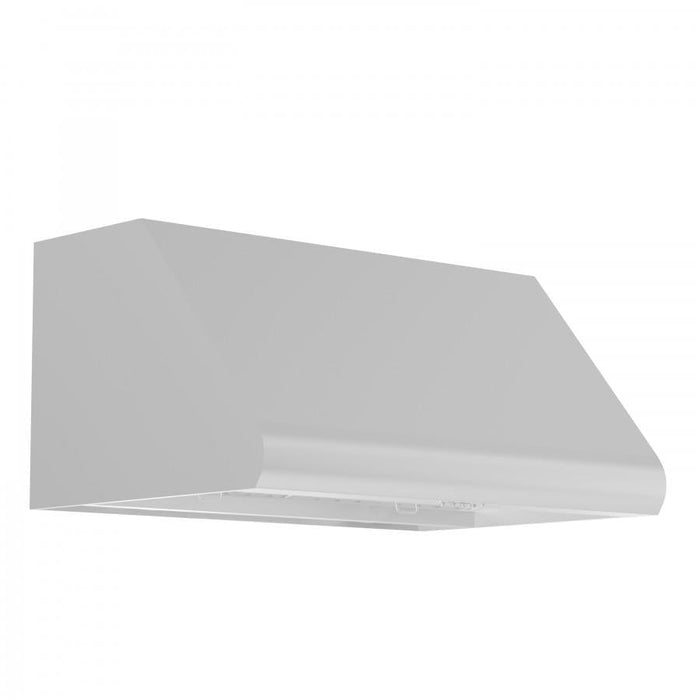 ZLINE Convertible Vent Under Cabinet Range Hood in Stainless Steel (527)